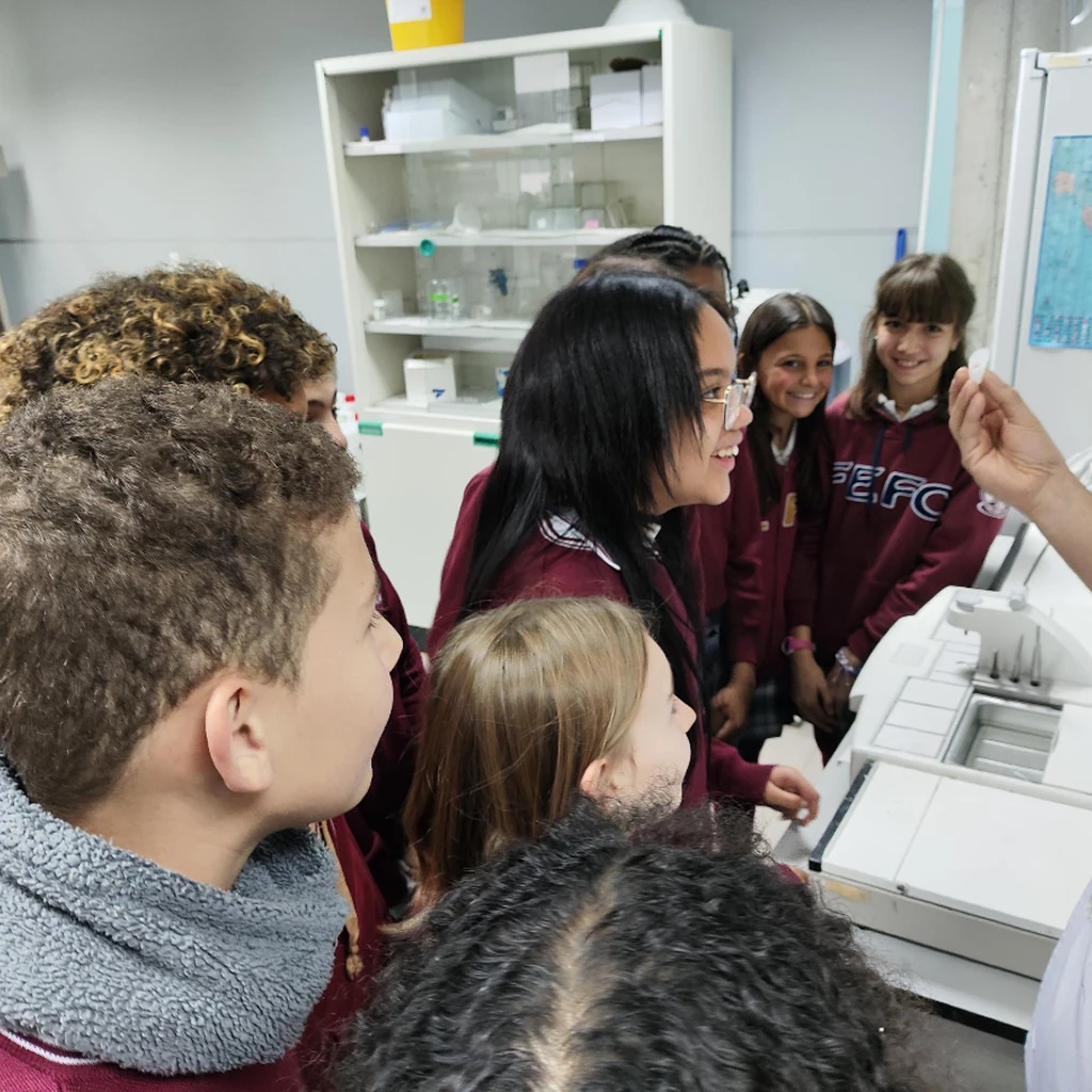 EDUCACION PRIMARIA GALERIA 2