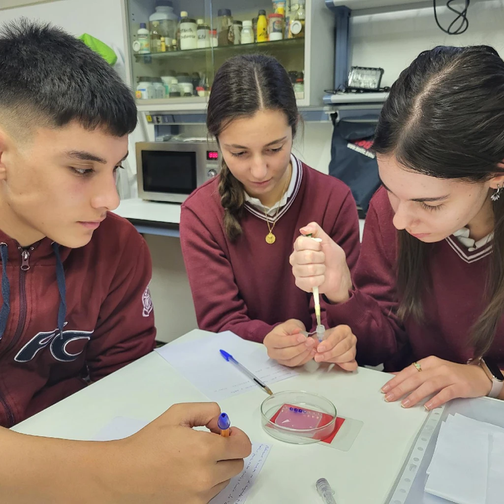 EDUCACION SECUNDARIA GALERIA 7