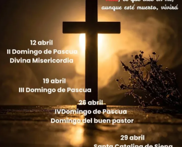 Captura de pantalla 2026-04-10 122940